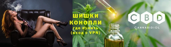 хмурый Елизово