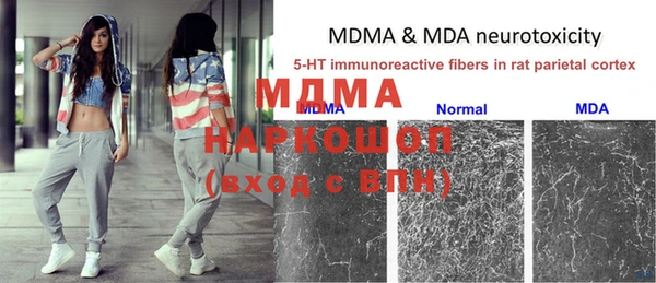 ГАЛЛЮЦИНОГЕННЫЕ ГРИБЫ Елабуга