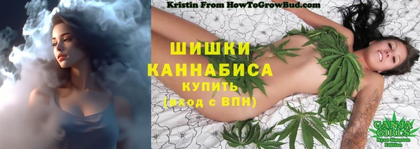 a pvp Ельня