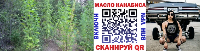 Купить где  Исилькуль  Дистиллят ТГК Wax 