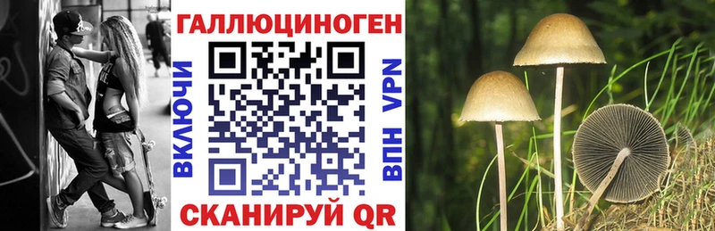 Галлюциногенные грибы GOLDEN TEACHER  Купить где  Исилькуль 